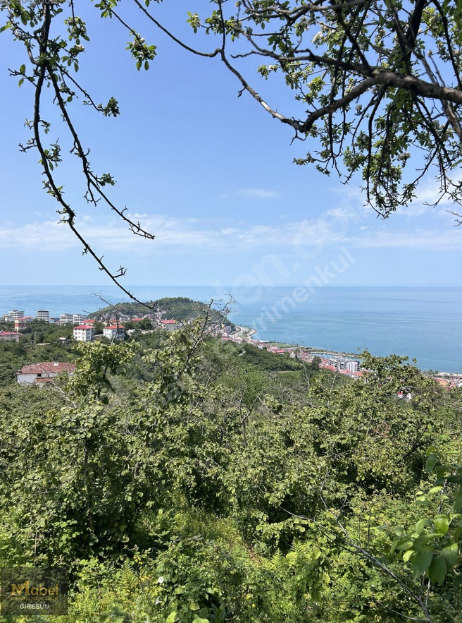 KAVAKLAR MH DENİZ MANZARALI ARSALAR